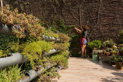 Why Southeast Asian Homeowners Prefer Cordless Garden Tools